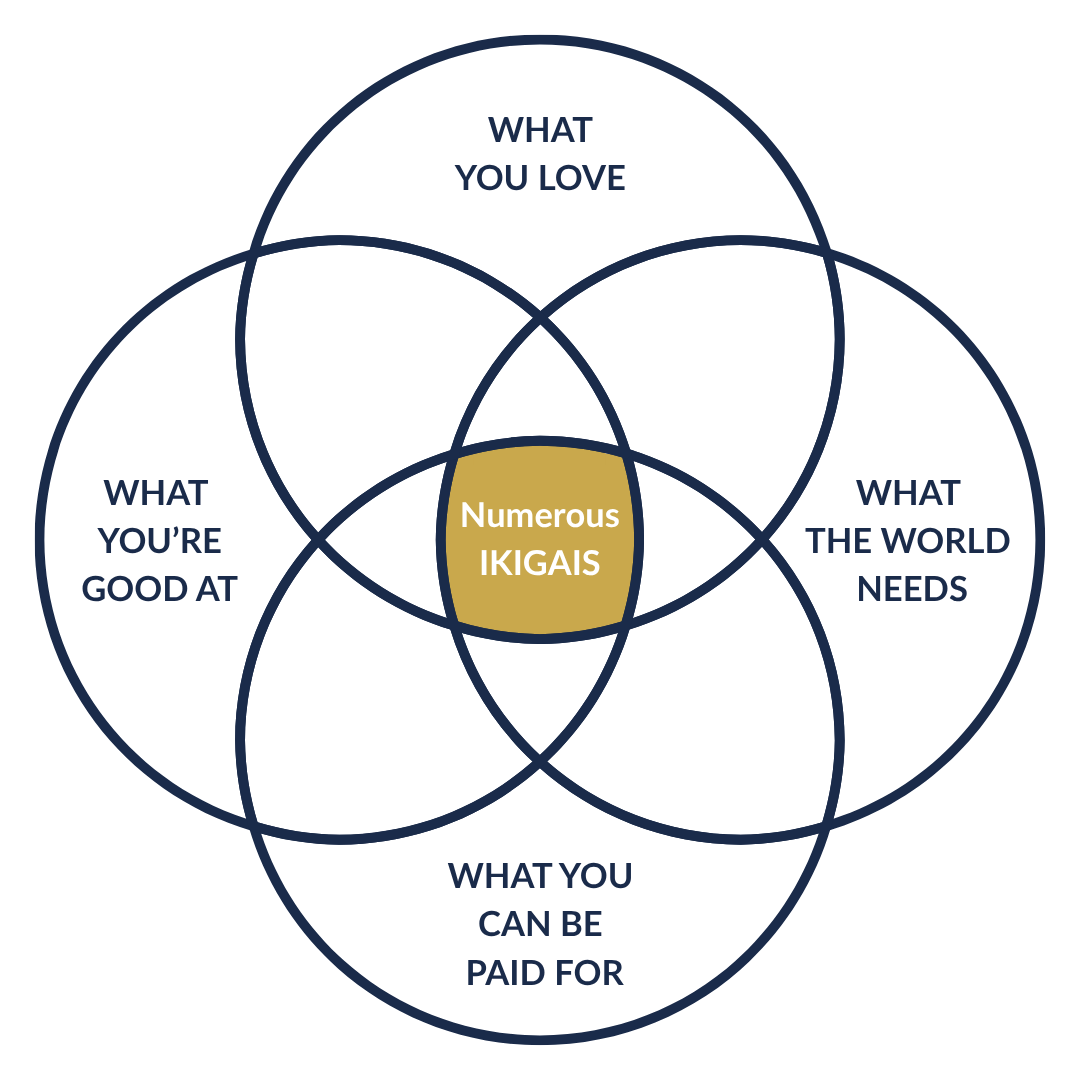 Four intersecting circles of the ikigai framework: what you love, what you are good at, what the world needs and what you can be paid for